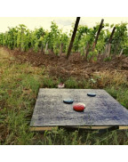 kit palet fonte transportable avec planche La Vadrouilleuse et coffret de palets