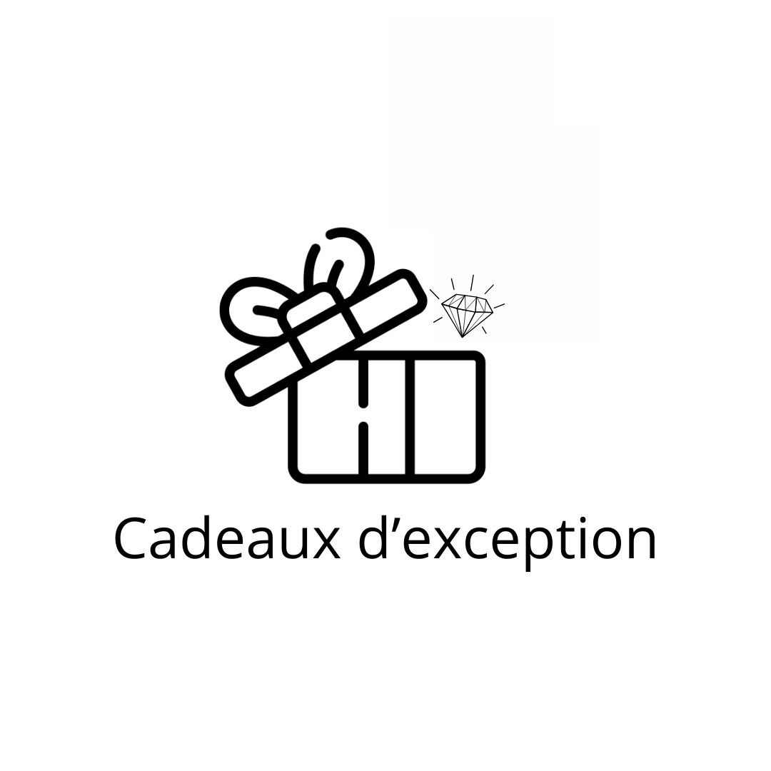 cadeaux noel camping bivouac